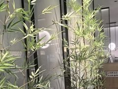 -绿茶餐厅(滨海万达广场店)