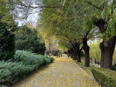 -元大都城垣遗址公园