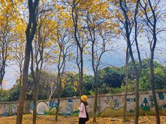 -天适樱花悠乐园