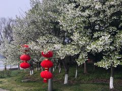 -尚贤河湿地