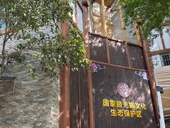 -北川巴拿恰