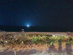 -渔家火锅·海鲜自助餐·演艺(亚龙湾天域酒店)