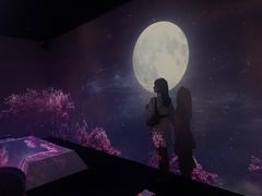 -火影忍者动画多媒体展