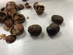 -小宝栗子(嘉华国际商业中心店)