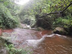 -赤水丹霞旅游区·佛光岩