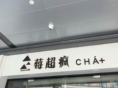 -莓超疯