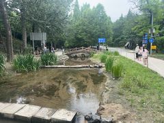 -白水寺森林公园