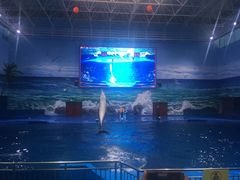 -多彩贵州城极地海洋世界