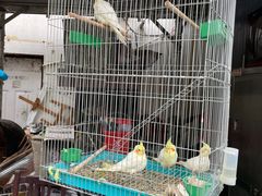-姥家大锅台水库渔家