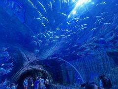 -华夏文旅海洋公园