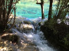 -九寨沟-树正沟