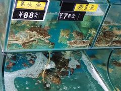 -天云活海鲜家菜馆·海鲜大咖(栈桥店)