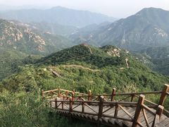 -大岭沟猕猴桃谷风景区