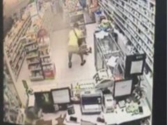 盛京一禾-盛京一禾