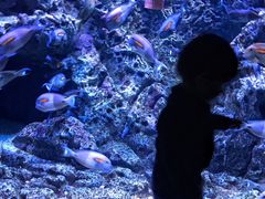 -成都浩海立方海洋公园