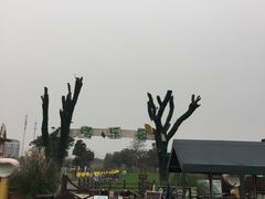 -田园东方蜜桃村的田野营地