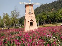 -顺峰山公园