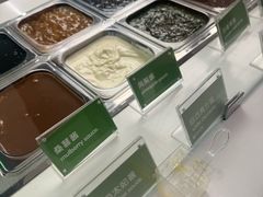-Salud撒露欧洲冻酸奶(五道口购物中心店)