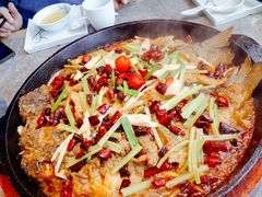 -老板恋上鱼(恒隆广场店)