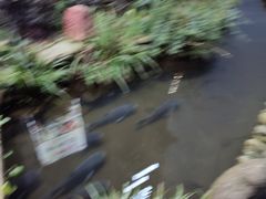 -万景饭店·鱼街农家菜