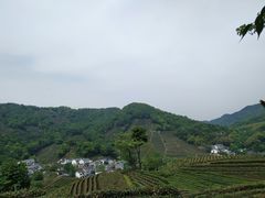 -西湖风景区十里琅珰-五云山