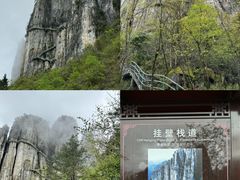 -恩施大峡谷