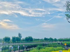 -郑东新区龙湖公共艺术中心