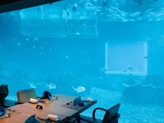 -海棠湾洲际-涛·海底餐厅·美人鱼·自助餐·海底隧道