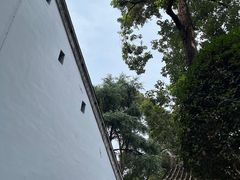 -青羊宫