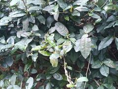 -敬亭山风景名胜区