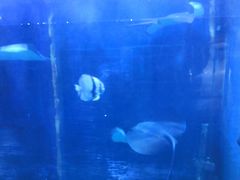 -北海市海滨公园