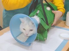 -嘉美宠物医院