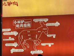 -小叫驴养生驴肉火锅(龙游店)