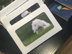 -藦茜花园宠物主题亲子互动体验馆(国顺东路店)
