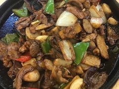 -五谷芳乳鸽王（大梅沙总店C区）(网红打卡店)