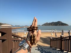 -大京沙滩