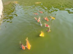 -董永七仙女文化园