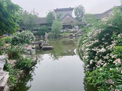 -花洲书院