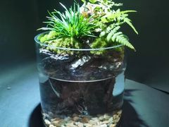 -爆爆手作·掐丝珐琅·Tufting·捏捏乐DIY团建集合店(朝阳店)