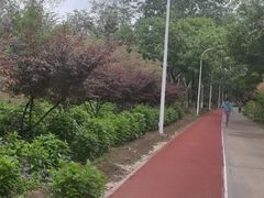-绿堤公园