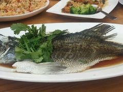 -珍宝海鲜(东海岸海鲜中心)