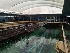 -悉尼海洋生物水族馆