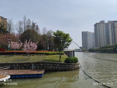 -陈家山荷花公园