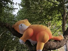 -西安电影制片厂