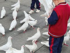 -王府井奥莱临潼小镇(临潼店)