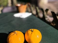 -三忘湖 SWANSEEN(柳荫公园店)