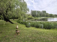 -沈阳植物园