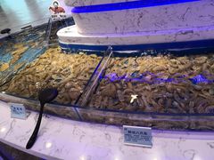 -澜悦港海鲜体验主题餐厅