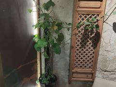 -江湖六膳門串串香(隆礼路店)