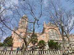 -上海佘山国家森林公园西佘山园